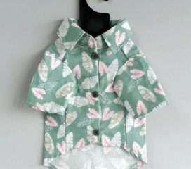 宠物衣物与窝用品的全新选择